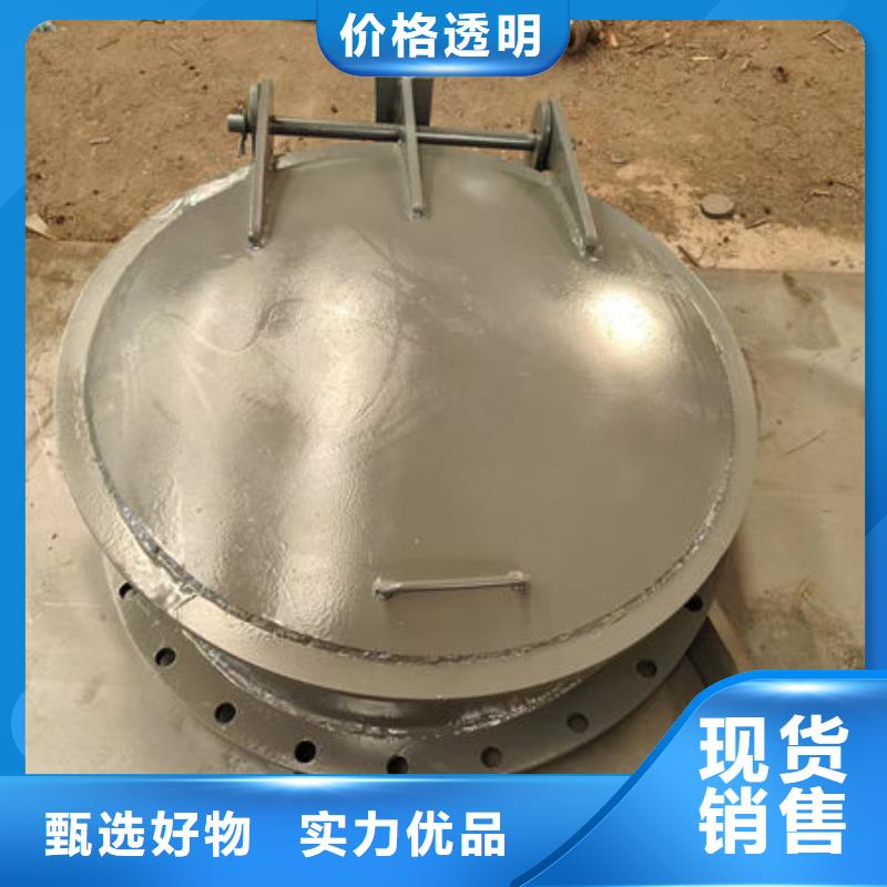 拍门,不锈钢拍门质量优选