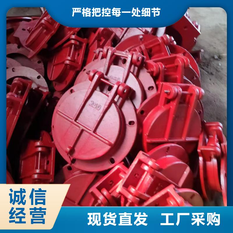 拍门,不锈钢拍门质量优选