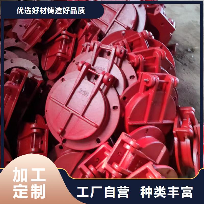 拍门钢拍门用心制造