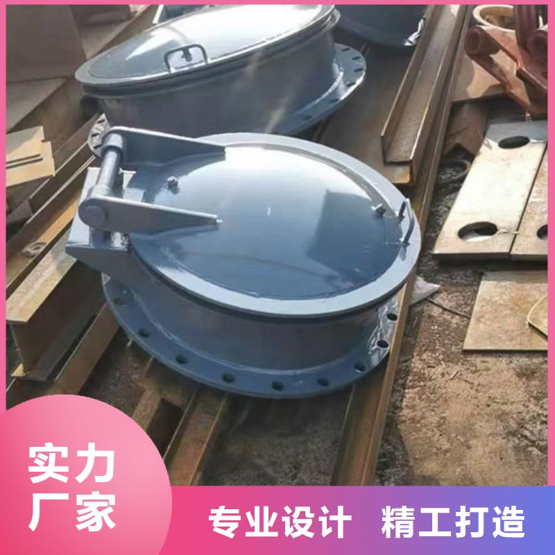 拍门不锈钢拍门价格实惠