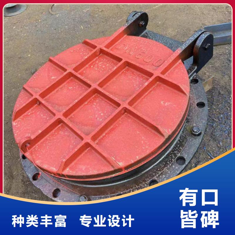 拍门钢制拍门专注品质