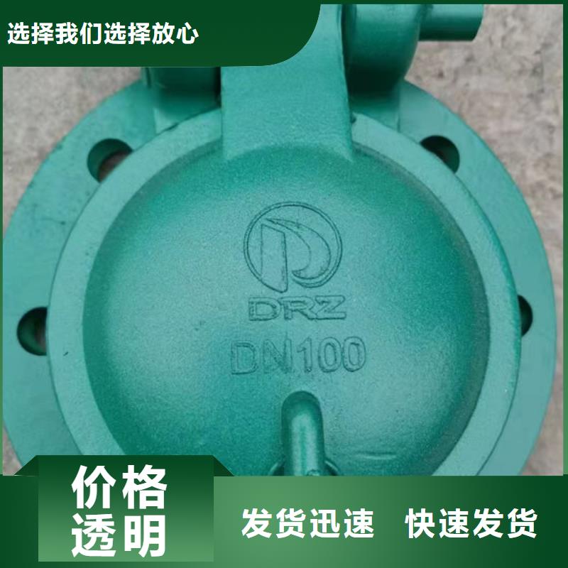 拍门钢拍门用心制造