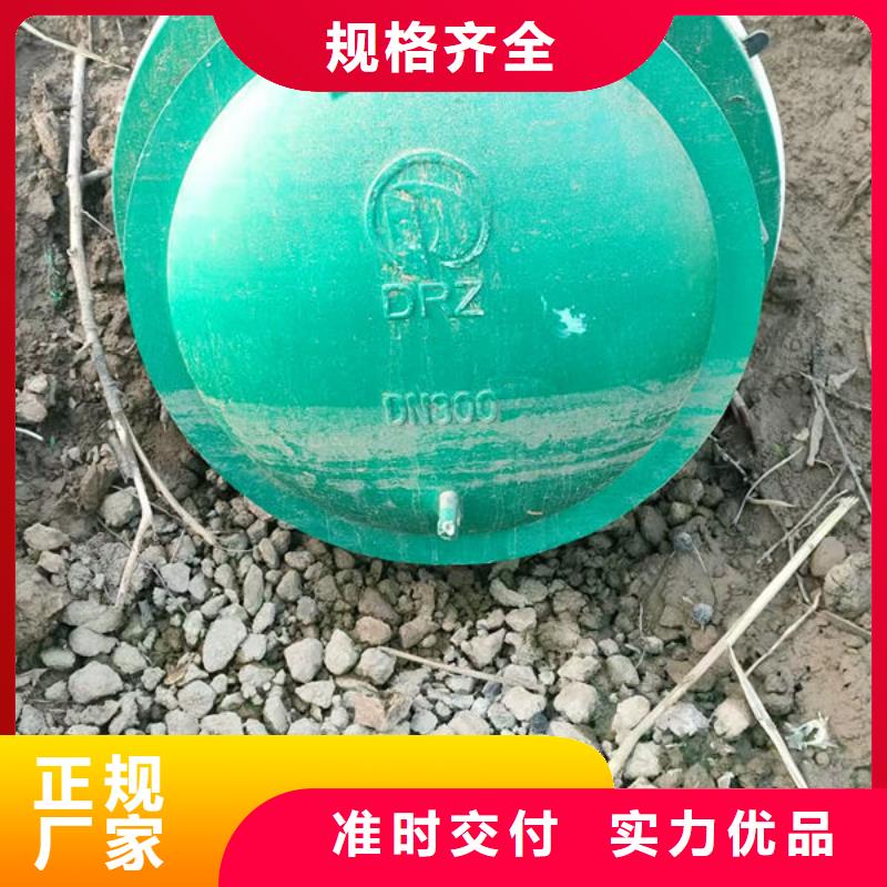 拍门钢拍门优质材料厂家直销
