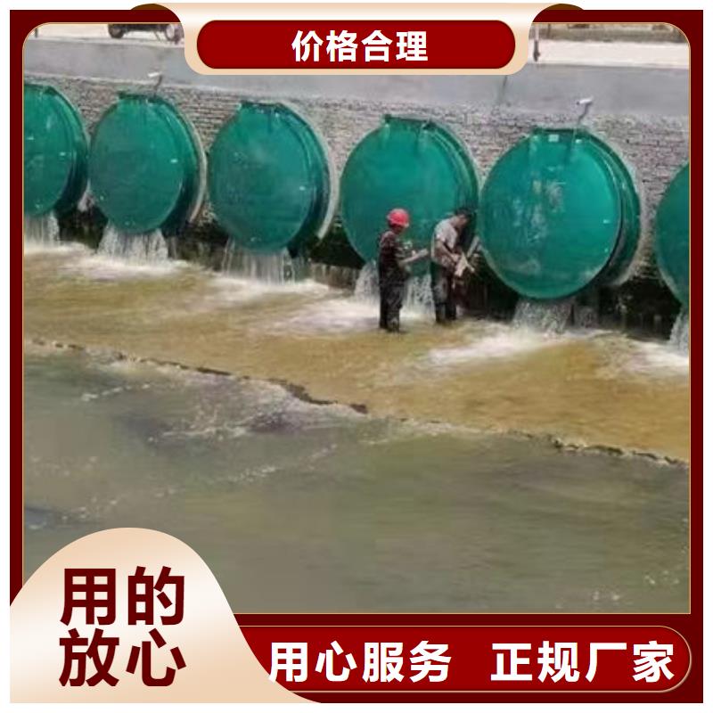 拍门防倒灌拍门厂家直销直供