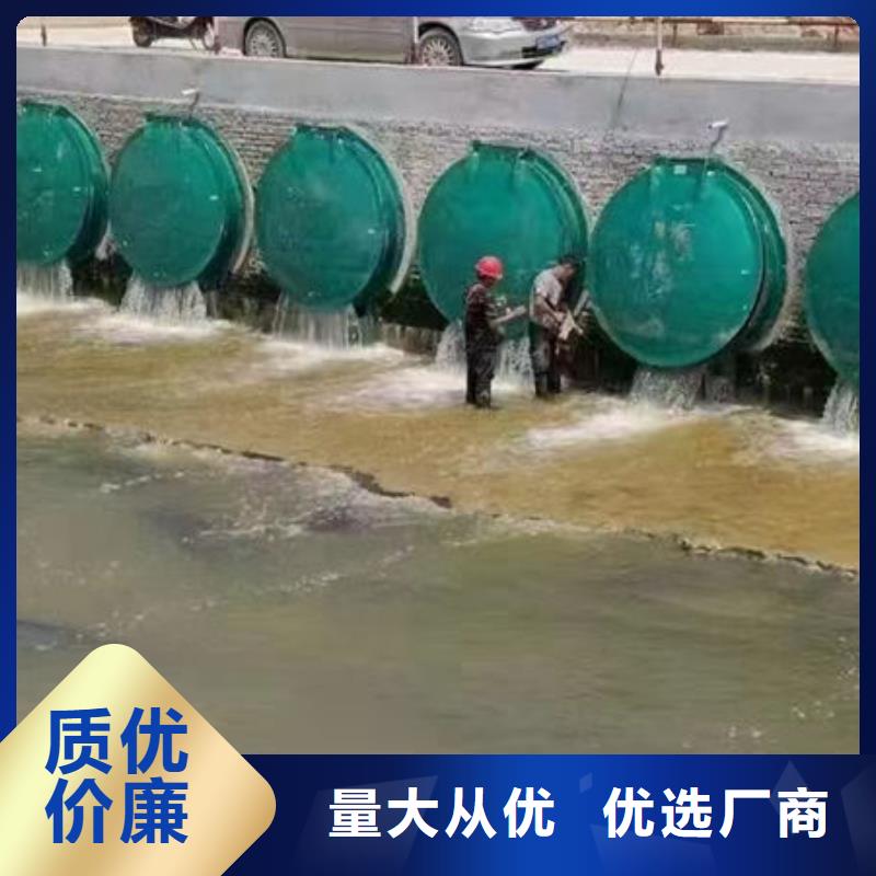 拍门防倒灌拍门厂家