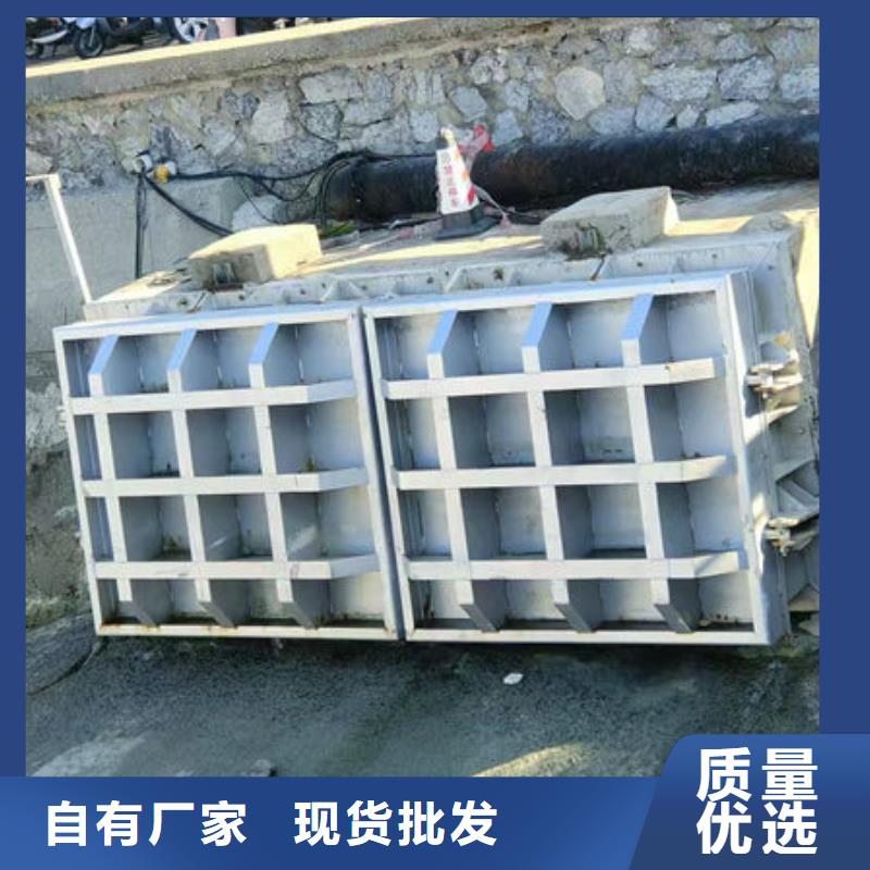 拍门防倒灌拍门为品质而生产