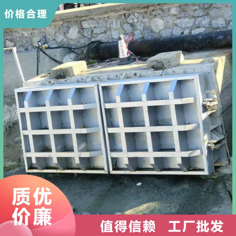 拍门,不锈钢拍门质量优选