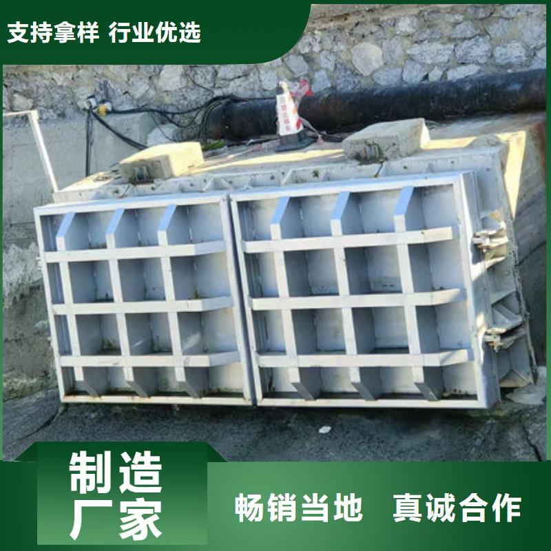 拍门防倒灌拍门国标检测放心购买