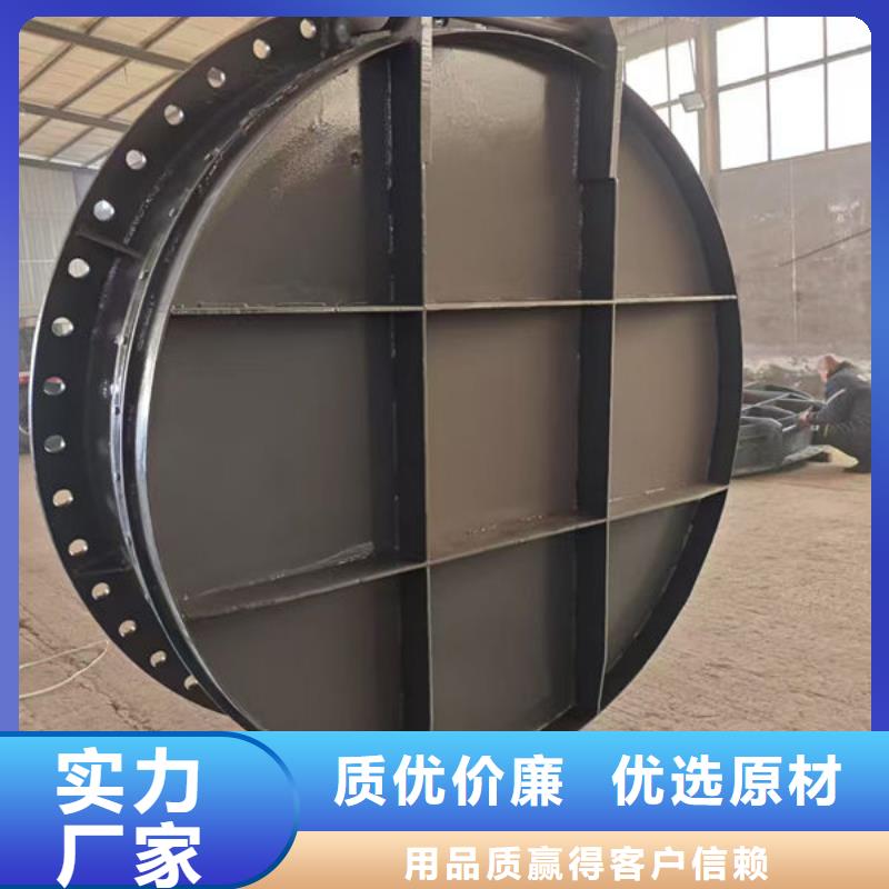 拍门铸铁拍门现货供应