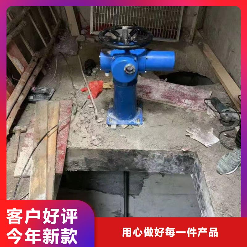 不锈钢闸门电动一体式不锈钢闸门工厂直销