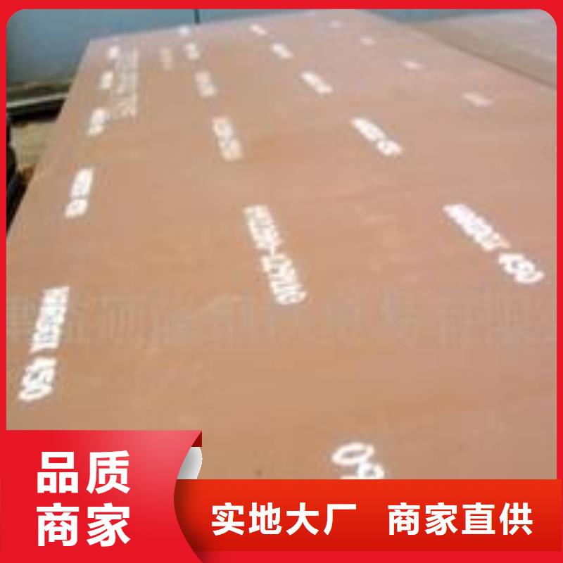 耐磨板丰富的行业经验