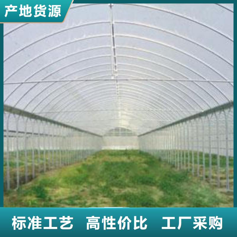镀锌大棚管高纯紫铜排放心选购