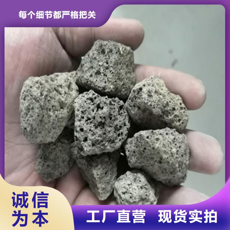 陶粒沸石按需定做