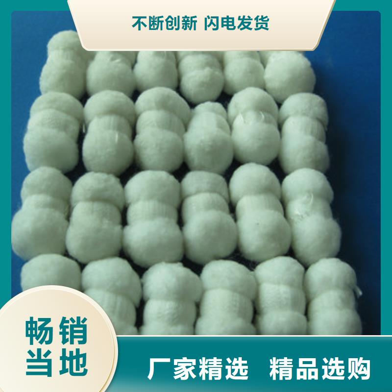 纤维球蜂窝斜管填料用心服务