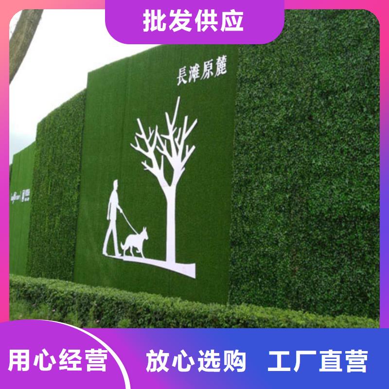 【围挡草坪人工草坪围挡用心提升细节】