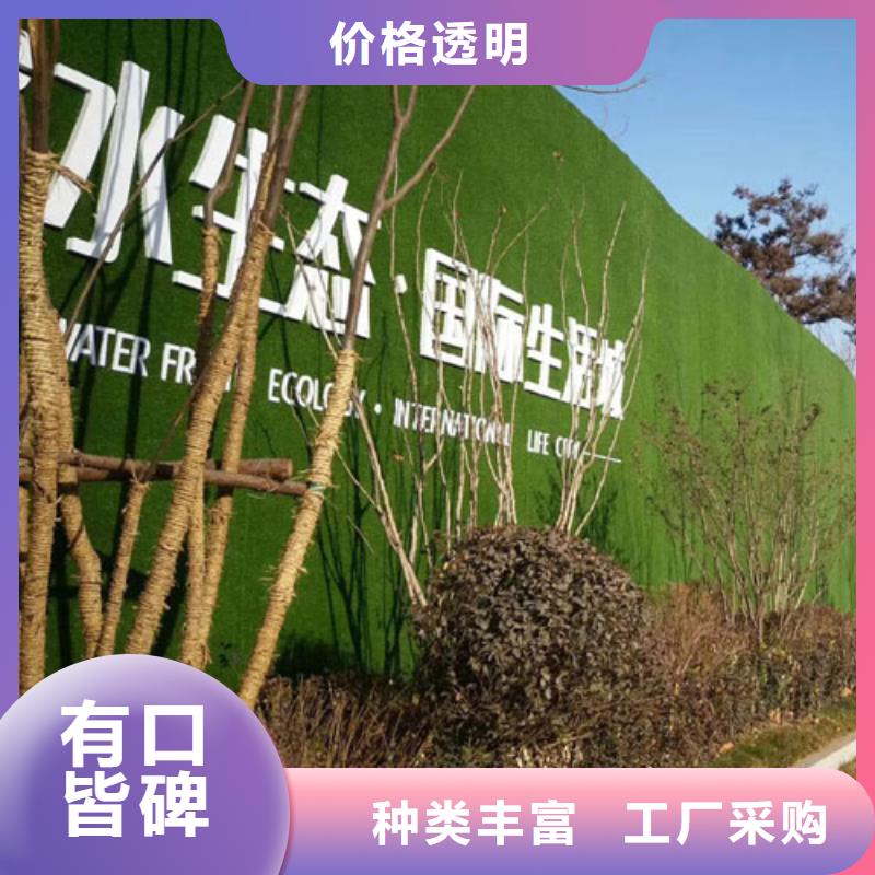 围挡草坪工地围挡草坪闪电发货