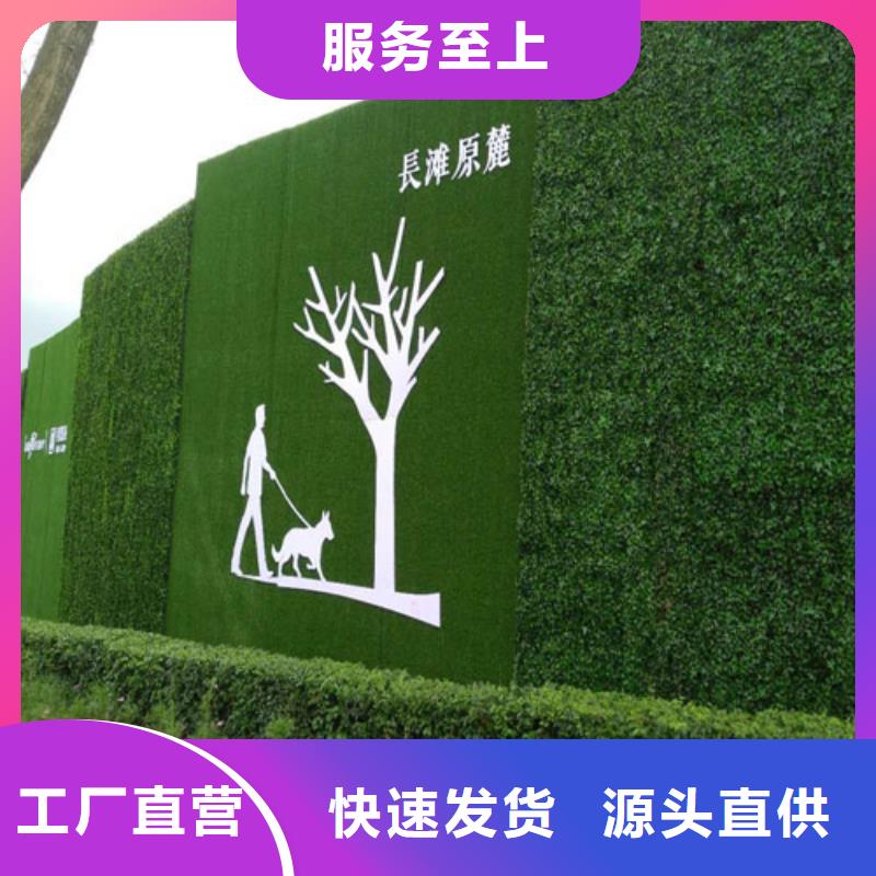 草坪围挡 【人工草坪围挡】认准大品牌厂家-可发货到红原|若尔盖|德阳|宜宾|资阳|巴中|雅安|甘孜|南充