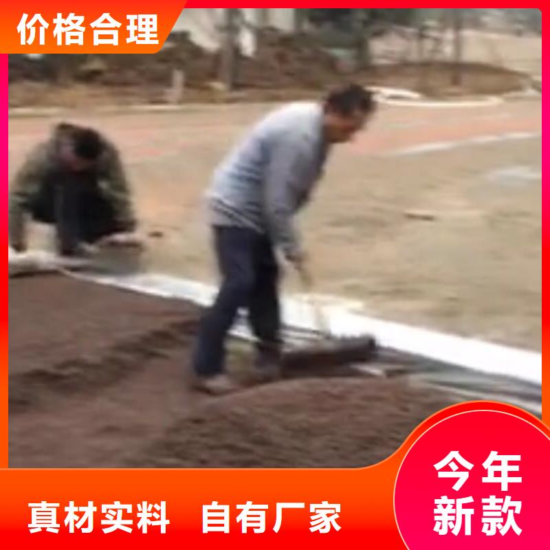 【透水】水泥压印地坪厂家精选谋成