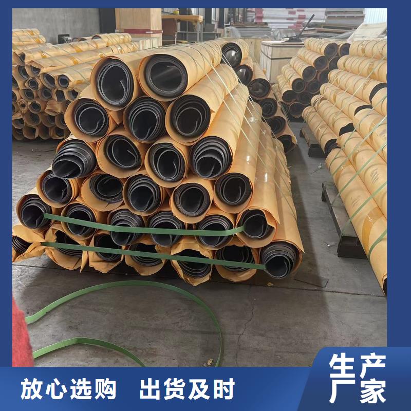 

电动推拉铅门生产厂家