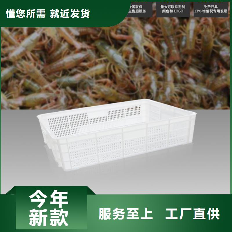 塑料筐_防潮板厂家质量过硬