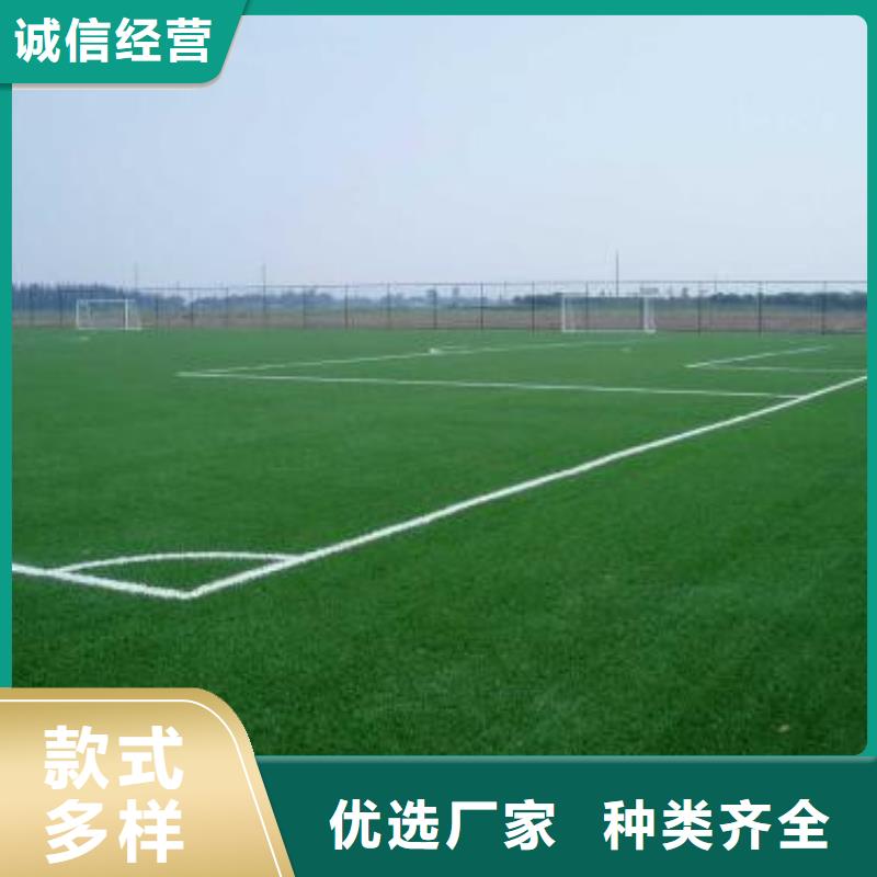 人造草坪室外塑胶跑道源厂定制