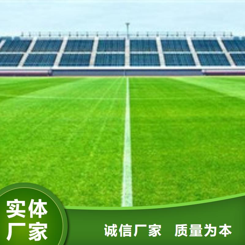 人造草坪塑胶跑道送货上门