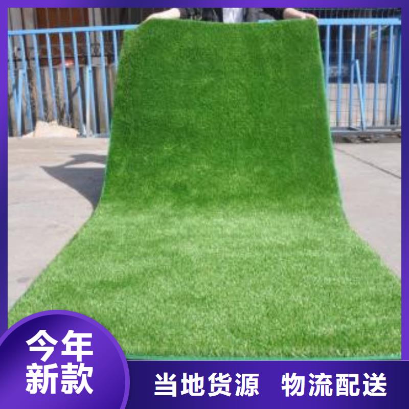 人造草坪,塑胶跑道敢与同行比价格