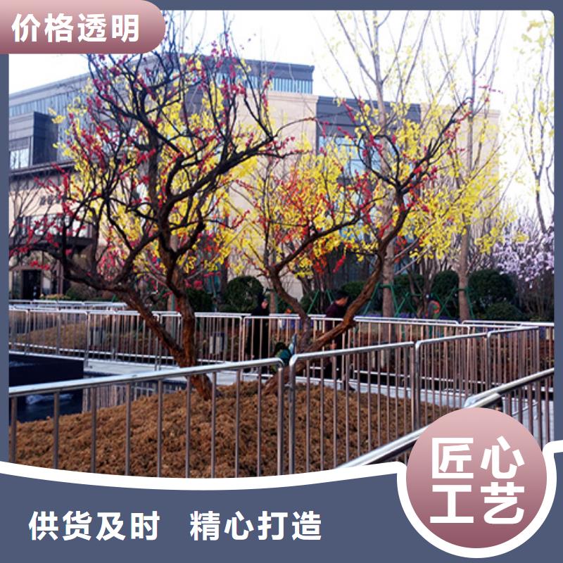 【铁马护栏出租】,婚礼篷房出租良好口碑当地品牌