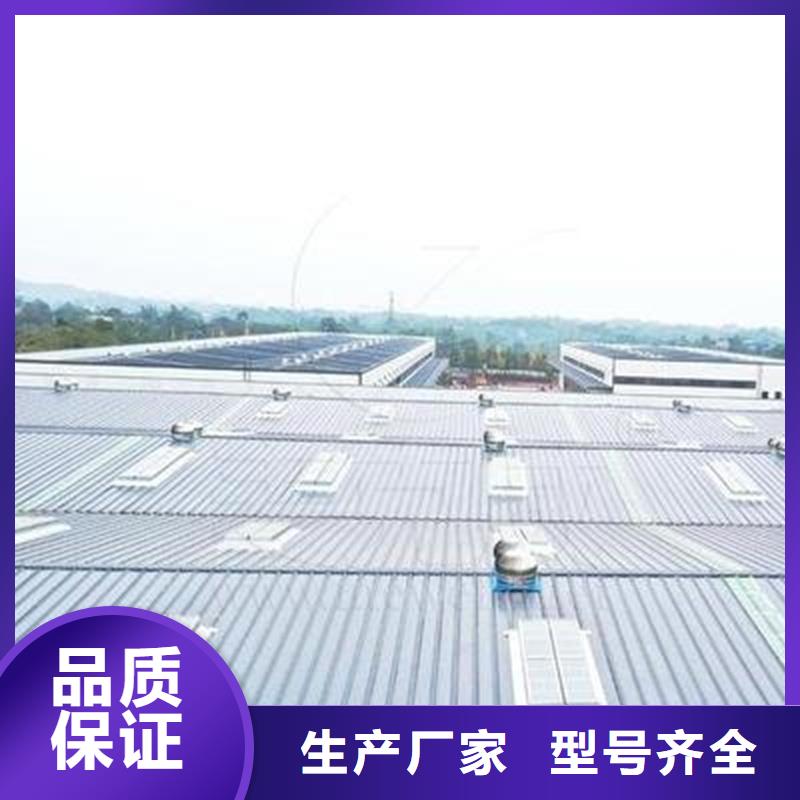 侧开型电动采光排烟天窗按需定制