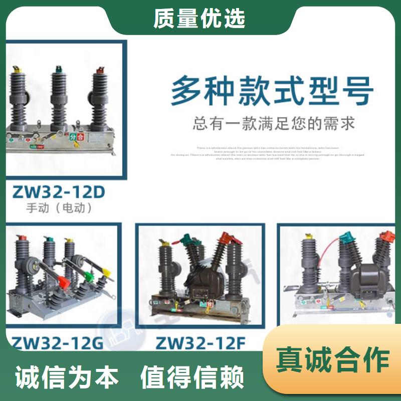 真空断路器-VS1户内高压真空断路器按需定制