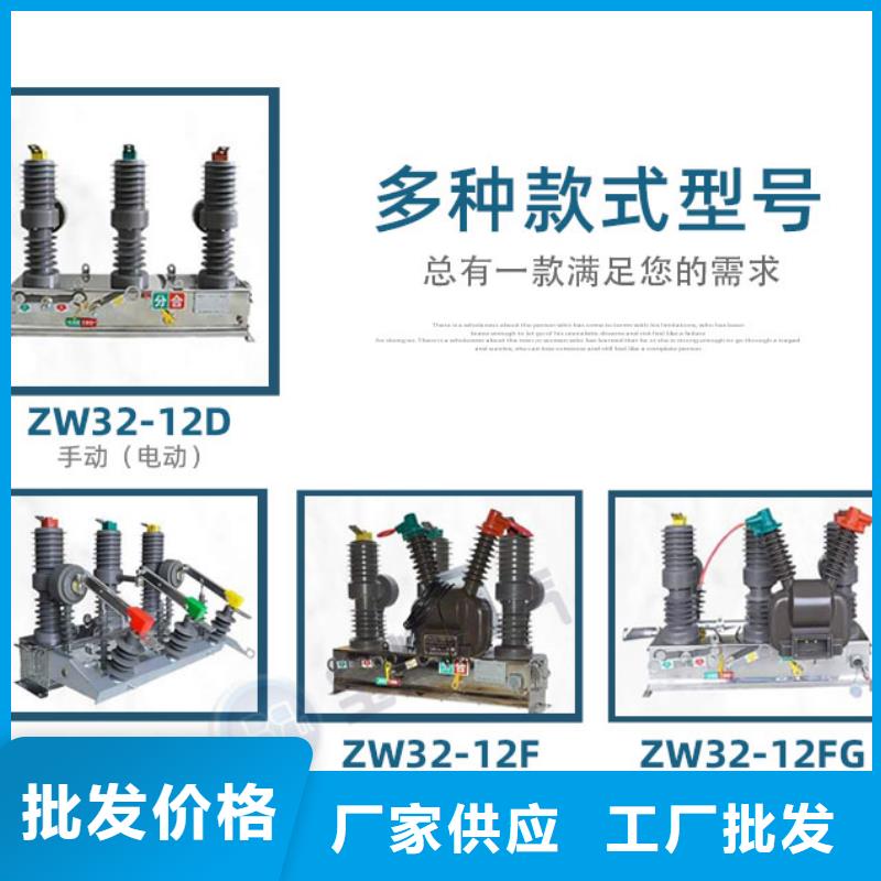 《宁波》现货真空断路器HY5WS-17/50避雷器源厂定制