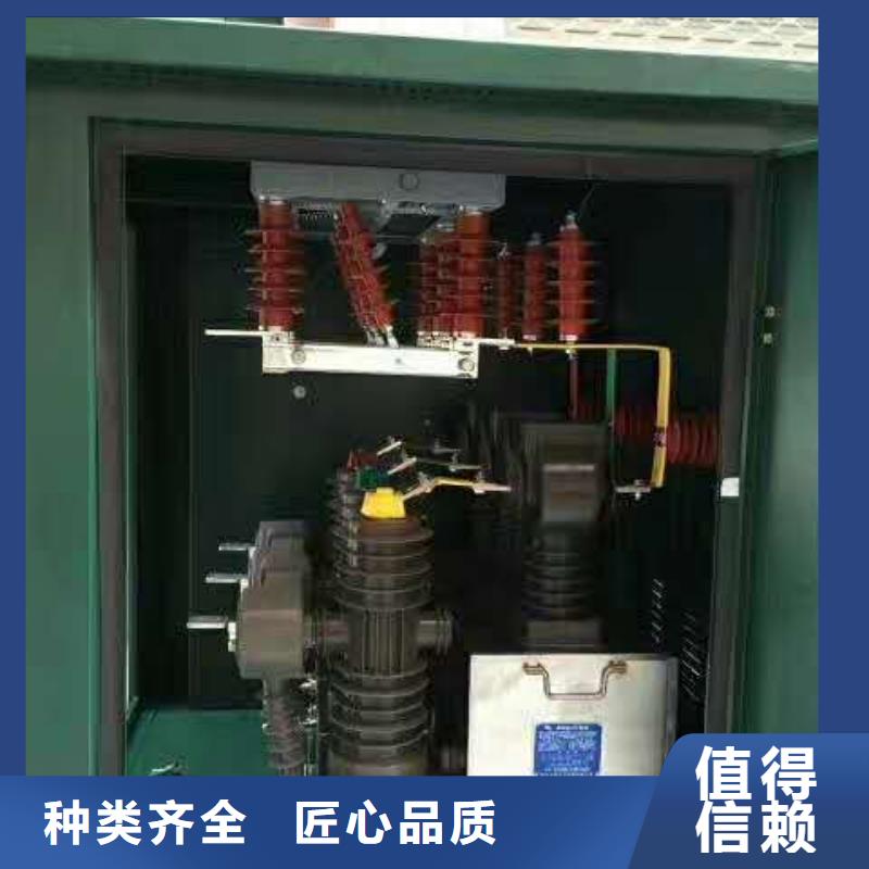 真空断路器高压氧化锌避雷器追求品质