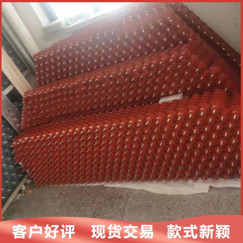 氧化锌避雷器BR-1双电源配电箱加工定制