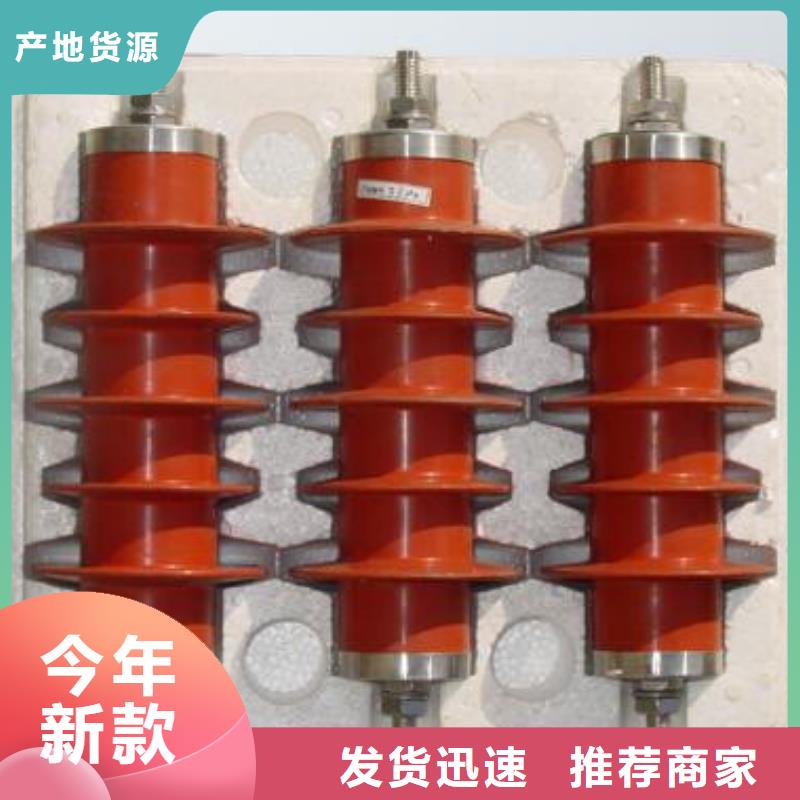 氧化锌避雷器-高压保险丝保险管原厂制造