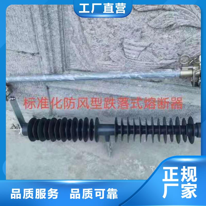 【跌落式熔断器】高压氧化锌避雷器实力见证