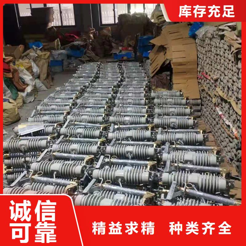 跌落式熔断器XRNT-12KV熔断器买的是放心