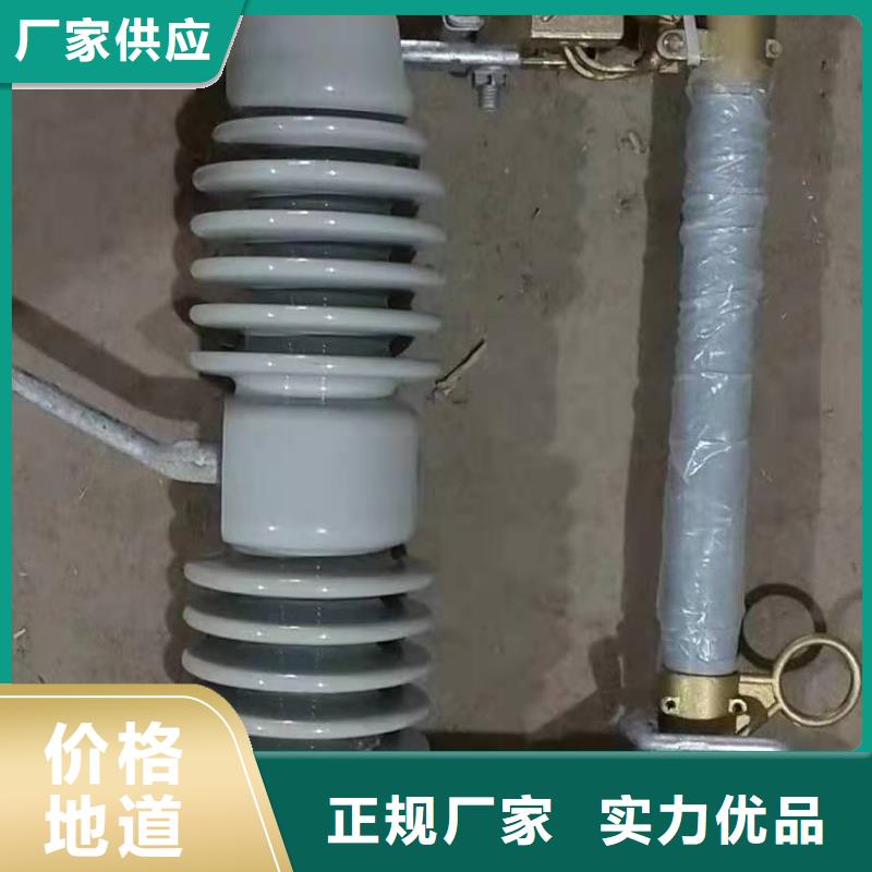 【跌落式熔断器高压氧化锌避雷器现货销售】