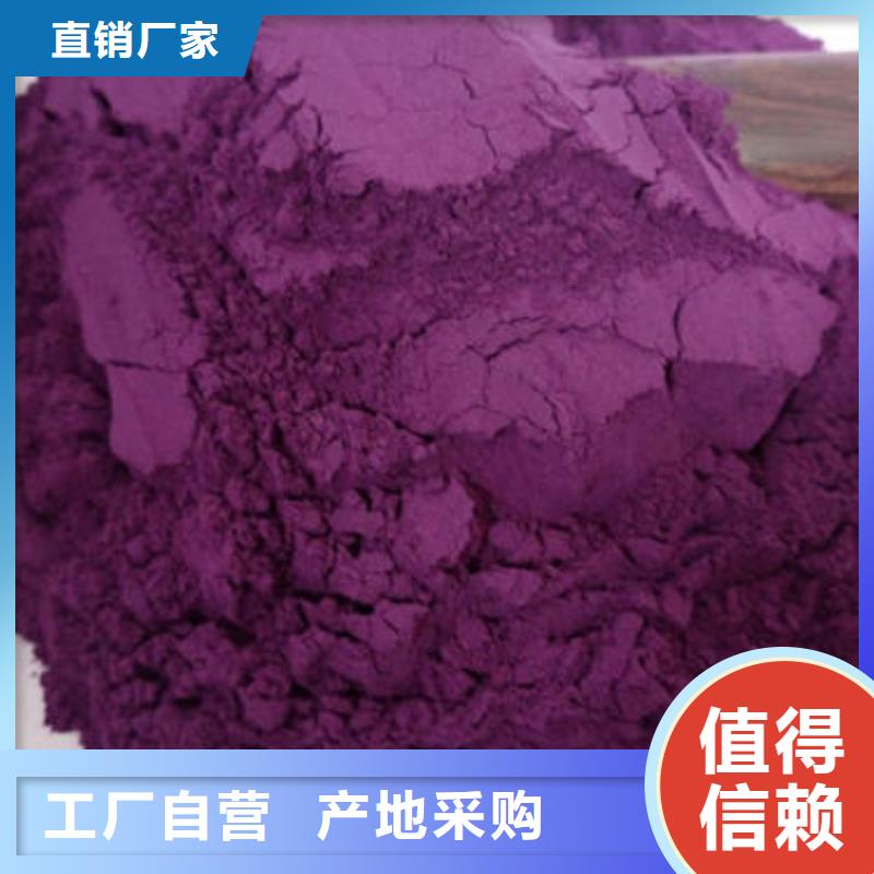 紫薯生粉来厂考察