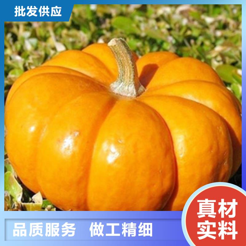 无皮南瓜粒免费咨询