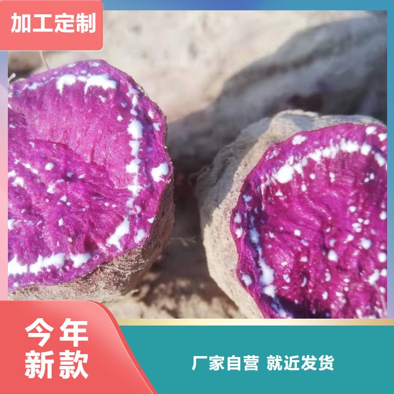 紫薯苗_【菠菜粉厂家】标准工艺乐农羽衣甘蓝粉