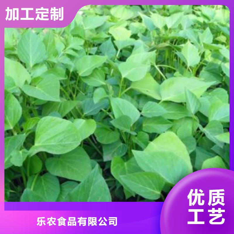 紫薯苗,【紫薯雪花片】口碑好实力强乐农胡萝卜粉厂家