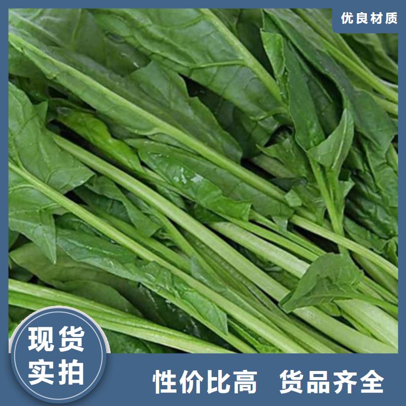 宁波咨询菠菜粉货源充足