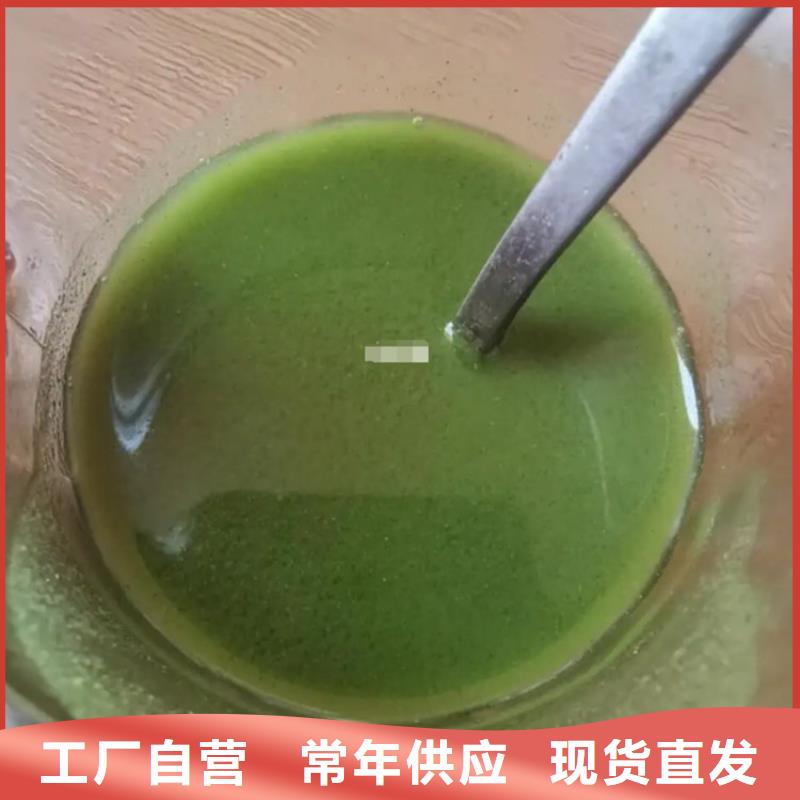 :羽衣甘蓝粉厂家批发