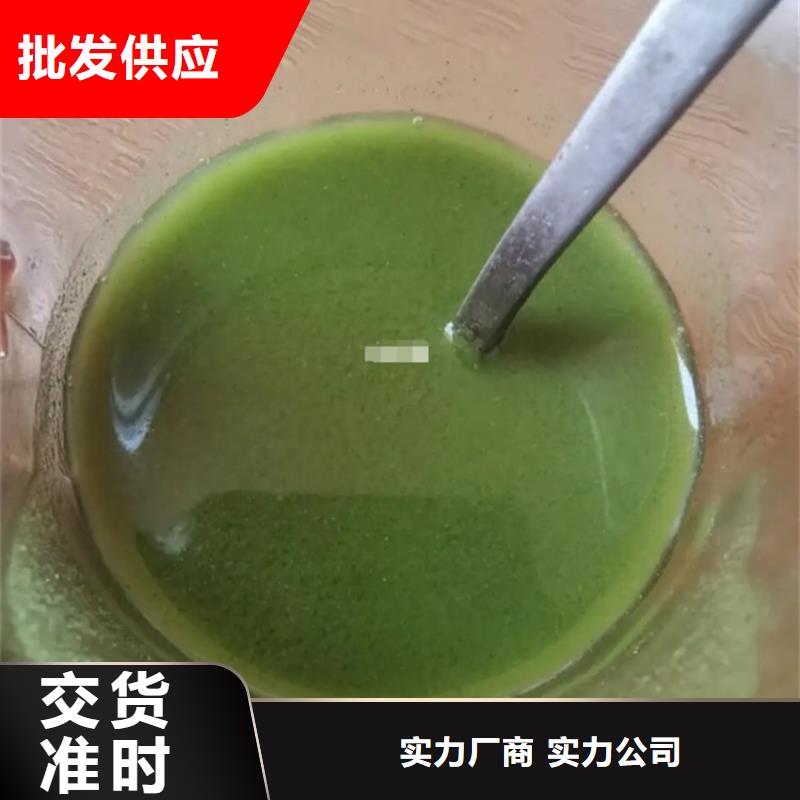 找甘蓝粉厂家