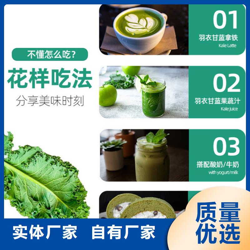 羽衣甘蓝粉冲剂包邮现货直销