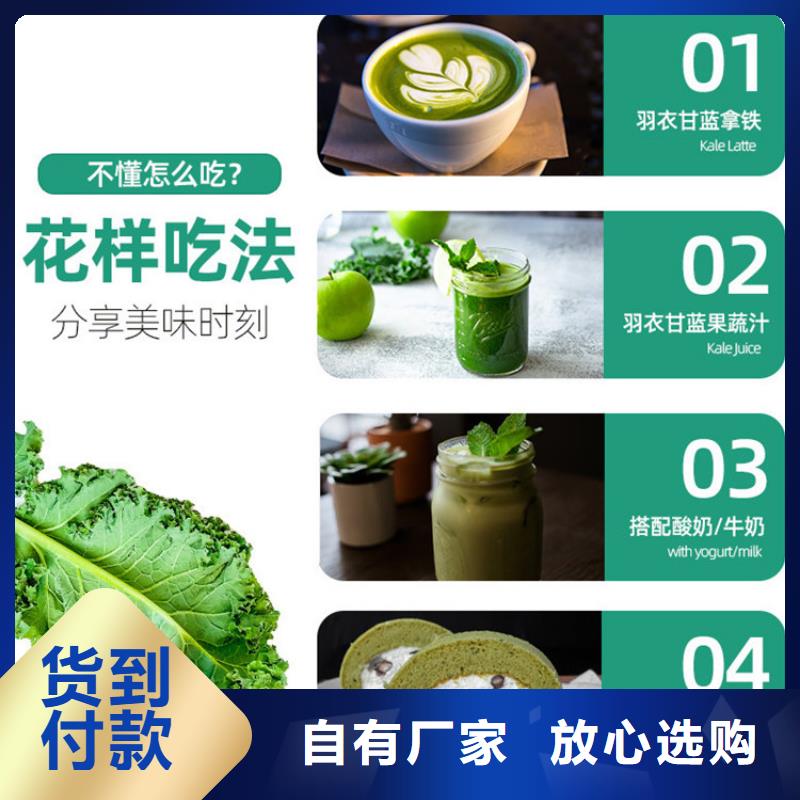 羽衣甘蓝粉工艺精湛