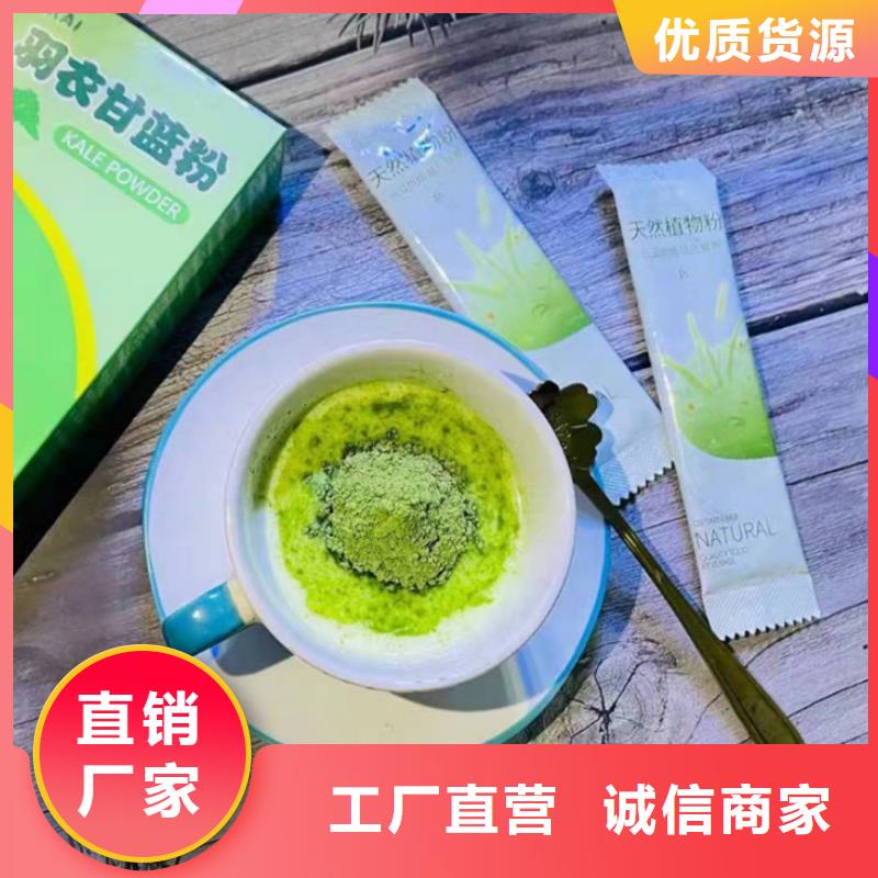 重信誉羽衣甘蓝粉批发厂家