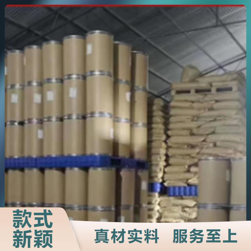 专业生产制造羽衣甘蓝供应商