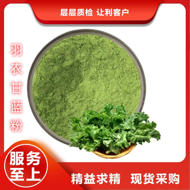 供应批发羽衣甘蓝粉冲剂-现货供应