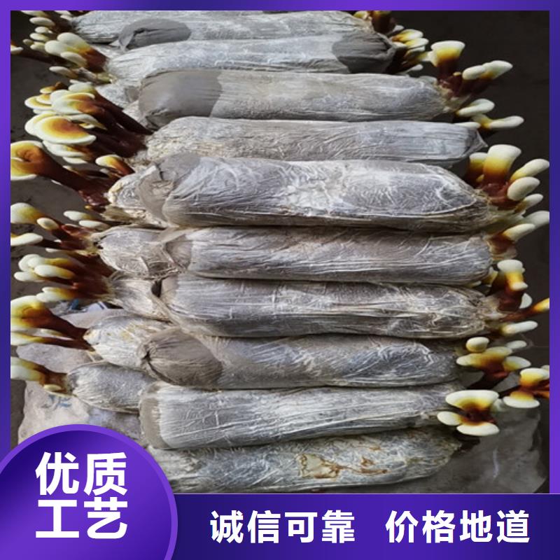 灵芝超微粉
生产厂家-价格实惠